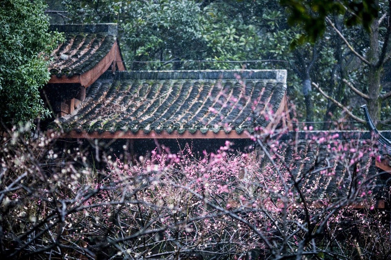微信图片_20200114094042.jpg