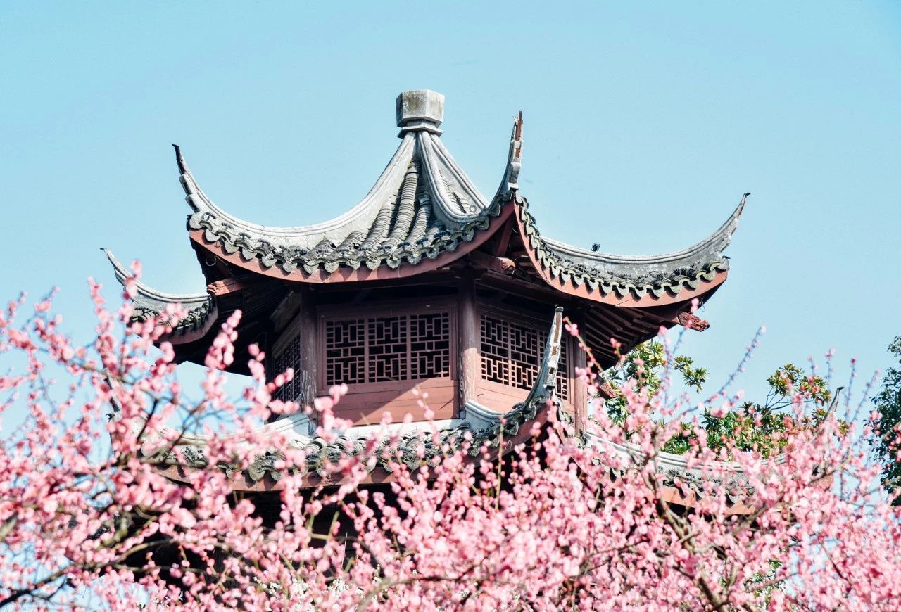微信图片_20200114094046.jpg