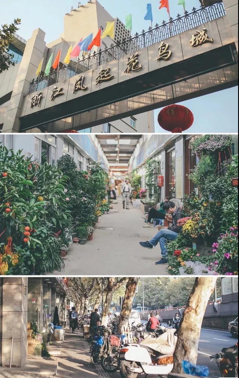 微信图片_20200528110540.jpg
