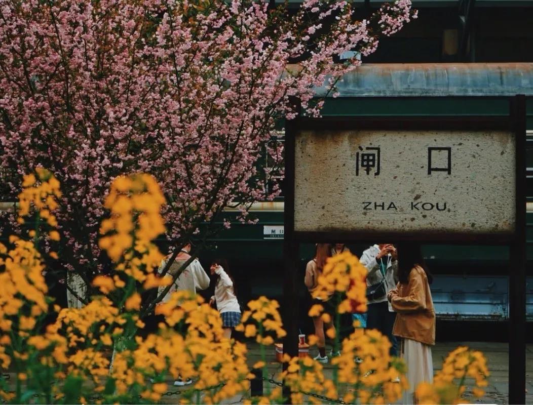微信图片_20200528133651.jpg